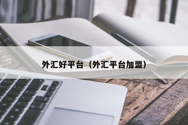 外汇好平台（外汇平台加盟）