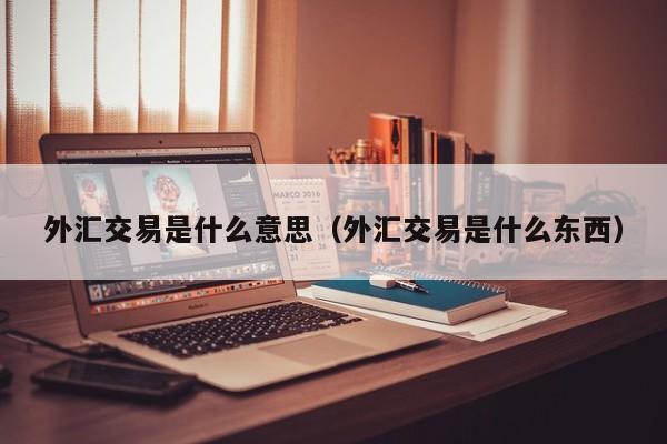 外汇交易是什么意思（外汇交易是什么东西）
