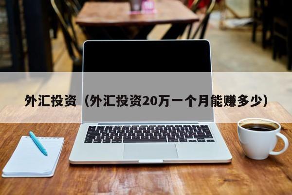 外汇投资（外汇投资20万一个月能赚多少）