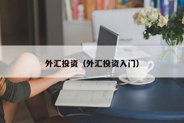 外汇投资（外汇投资入门）
