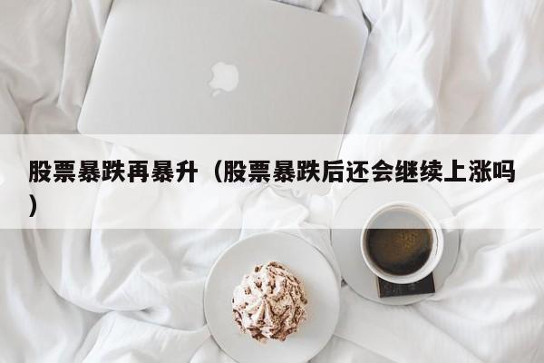股票暴跌再暴升（股票暴跌后还会继续上涨吗）