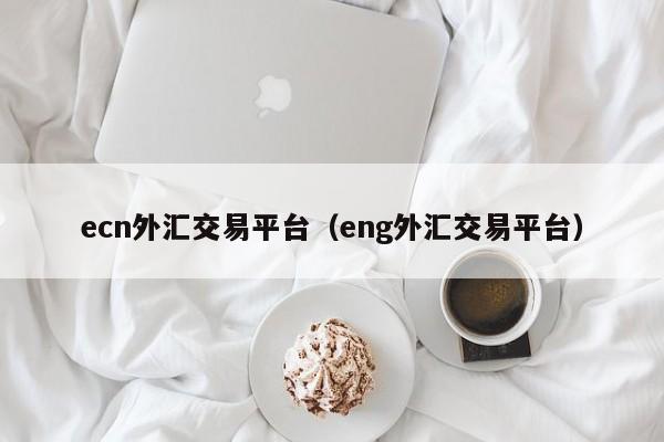 ecn外汇交易平台（eng外汇交易平台）