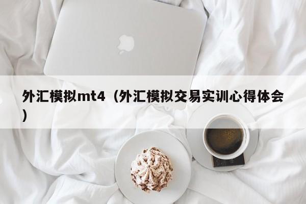 外汇模拟mt4（外汇模拟交易实训心得体会）