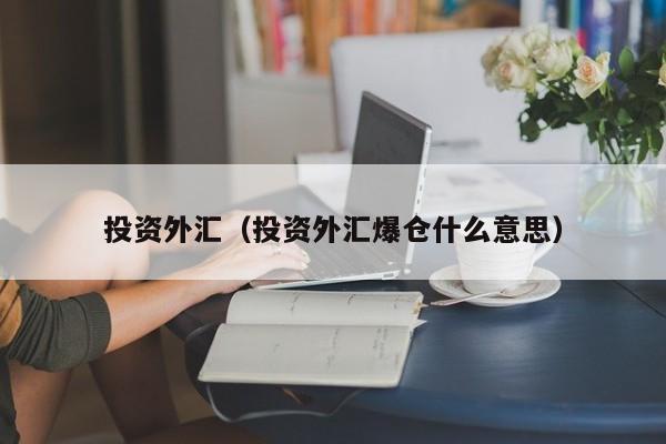投资外汇（投资外汇爆仓什么意思）