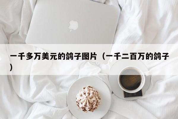 一千多万美元的鸽子图片（一千二百万的鸽子）