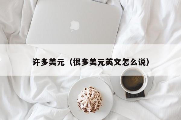 许多美元（很多美元英文怎么说）