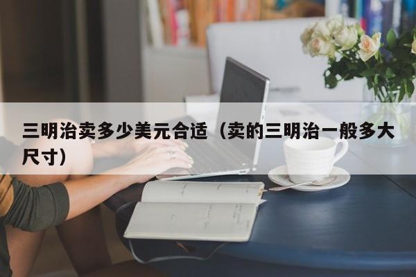三明治卖多少美元合适（卖的三明治一般多大尺寸）