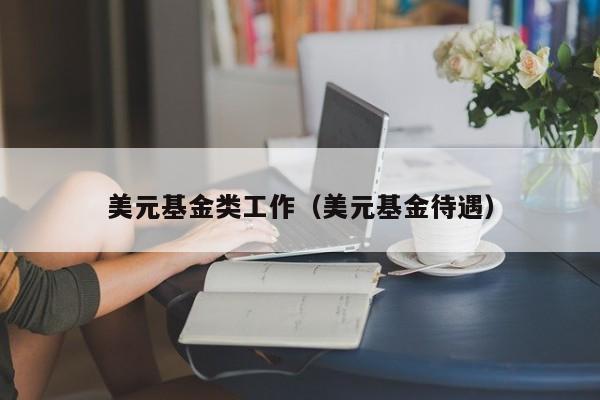 美元基金类工作（美元基金待遇）