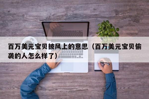 百万美元宝贝披风上的意思（百万美元宝贝偷袭的人怎么样了）