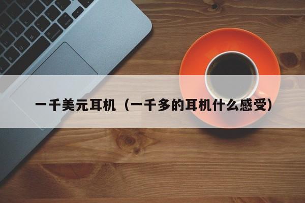 一千美元耳机（一千多的耳机什么感受）