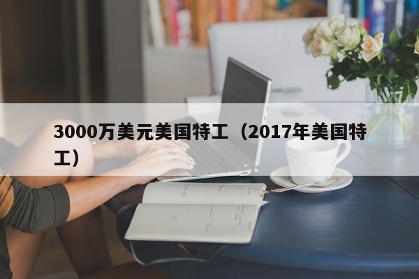 3000万美元美国特工（2017年美国特工）
