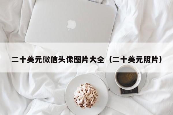 二十美元微信头像图片大全（二十美元照片）