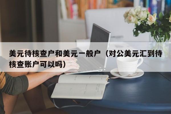 美元待核查户和美元一般户（对公美元汇到待核查账户可以吗）