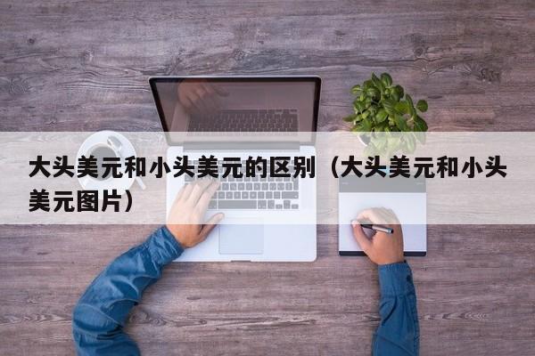 大头美元和小头美元的区别（大头美元和小头美元图片）