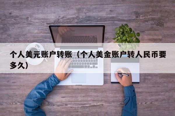 个人美元账户转账（个人美金账户转人民币要多久）