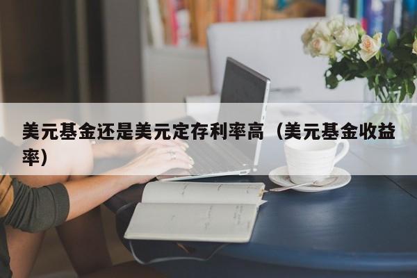 美元基金还是美元定存利率高（美元基金收益率）