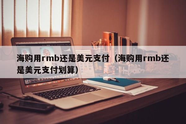 海购用rmb还是美元支付（海购用rmb还是美元支付划算）