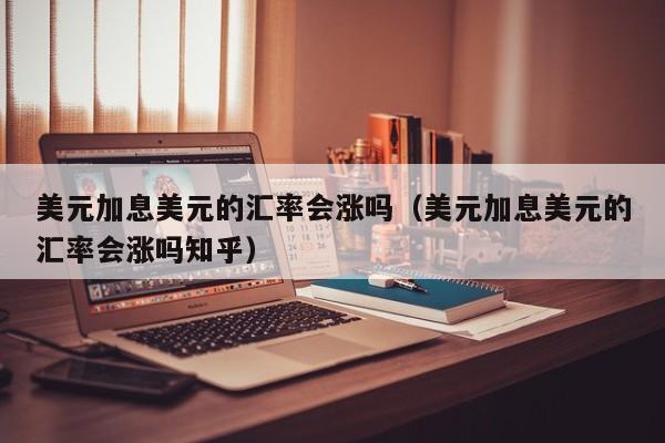美元加息美元的汇率会涨吗（美元加息美元的汇率会涨吗知乎）