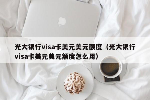 光大银行visa卡美元美元额度（光大银行visa卡美元美元额度怎么用）