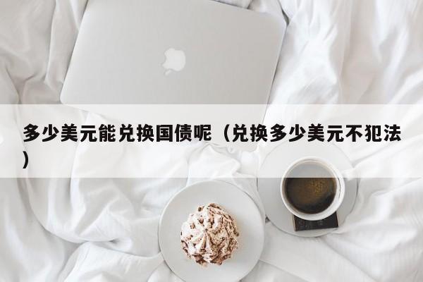 多少美元能兑换国债呢（兑换多少美元不犯法）