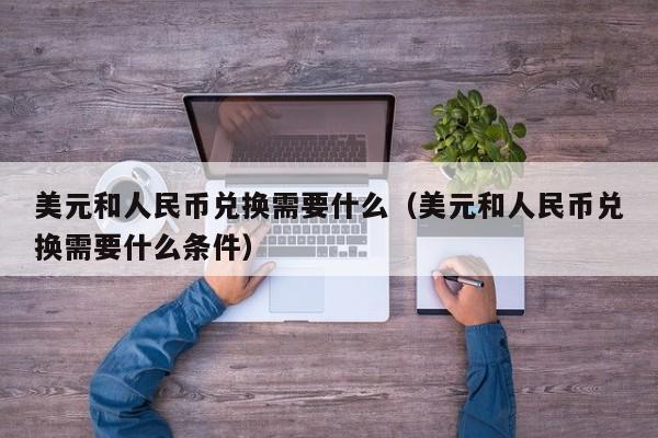 美元和人民币兑换需要什么（美元和人民币兑换需要什么条件）