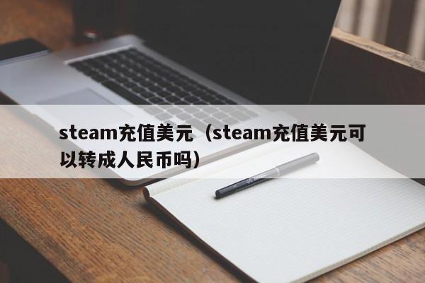 steam充值美元（steam充值美元可以转成人民币吗）