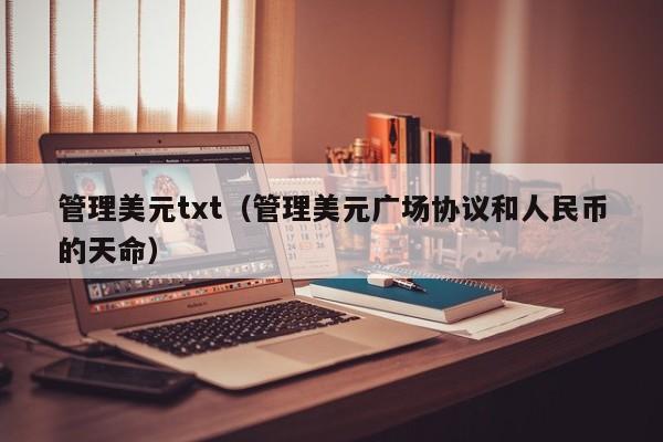 管理美元txt（管理美元广场协议和人民币的天命）