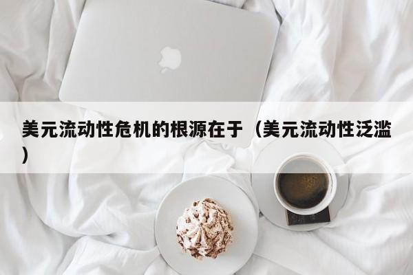美元流动性危机的根源在于（美元流动性泛滥）