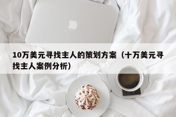 10万美元寻找主人的策划方案（十万美元寻找主人案例分析）