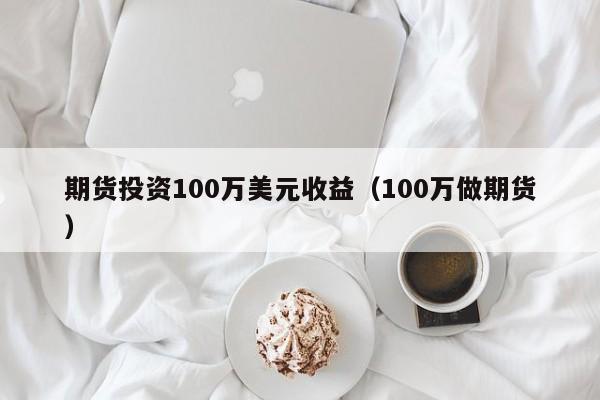 期货投资100万美元收益（100万做期货）
