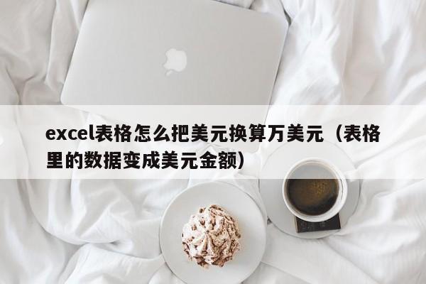 excel表格怎么把美元换算万美元（表格里的数据变成美元金额）
