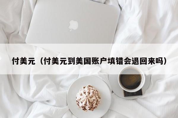 付美元（付美元到美国账户填错会退回来吗）