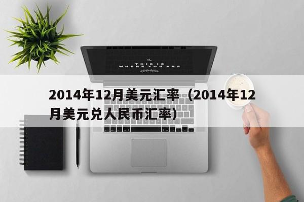 2014年12月美元汇率（2014年12月美元兑人民币汇率）