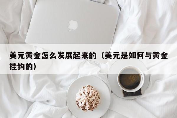 美元黄金怎么发展起来的（美元是如何与黄金挂钩的）