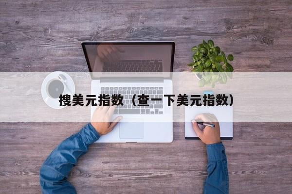 搜美元指数（查一下美元指数）