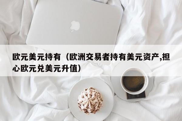 欧元美元持有（欧洲交易者持有美元资产,担心欧元兑美元升值）