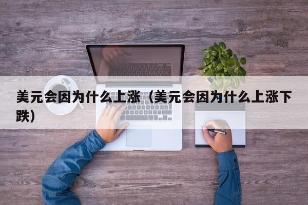 美元会因为什么上涨（美元会因为什么上涨下跌）