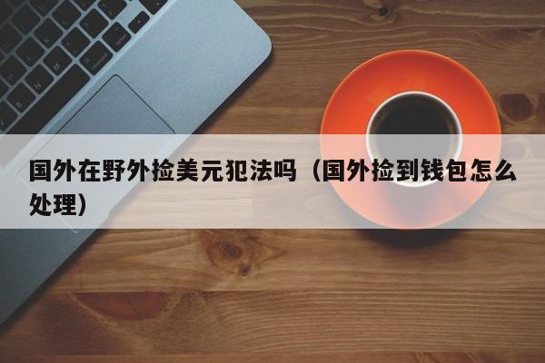 国外在野外捡美元犯法吗（国外捡到钱包怎么处理）