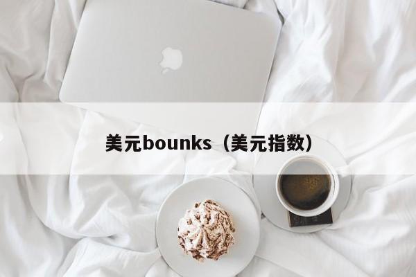美元bounks（美元指数）