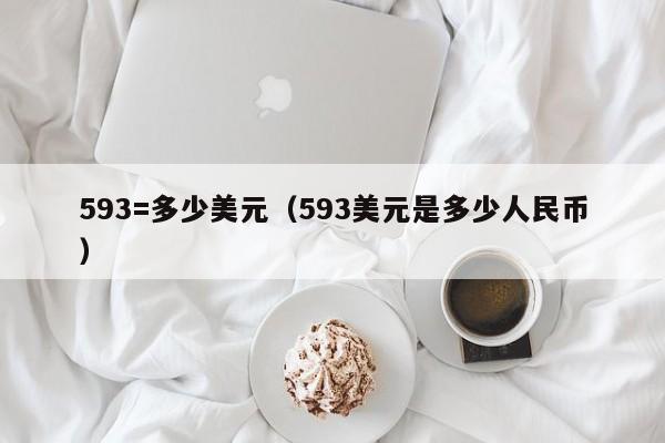 593=多少美元（593美元是多少人民币）