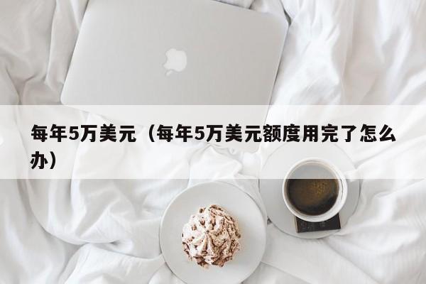 每年5万美元（每年5万美元额度用完了怎么办）