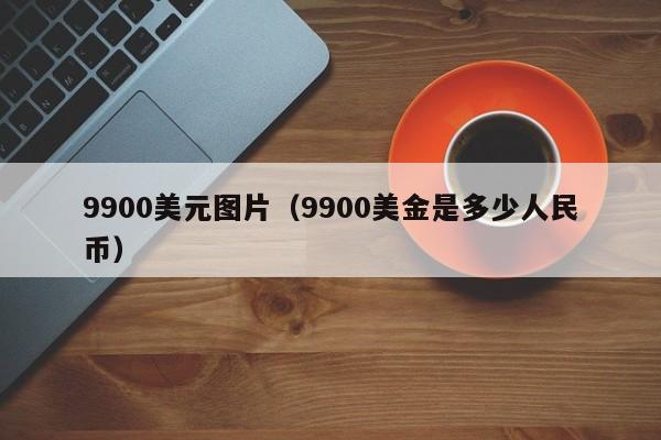 9900美元图片（9900美金是多少人民币）