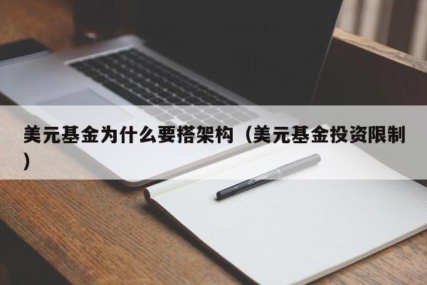 美元基金为什么要搭架构（美元基金投资限制）