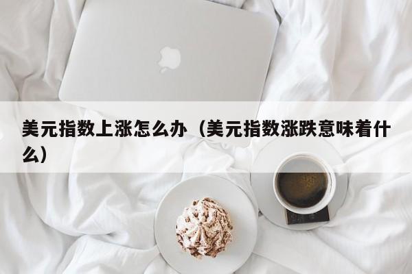 美元指数上涨怎么办（美元指数涨跌意味着什么）