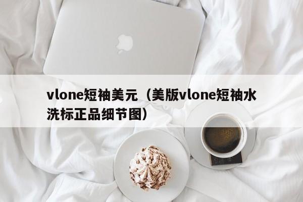 vlone短袖美元（美版vlone短袖水洗标正品细节图）