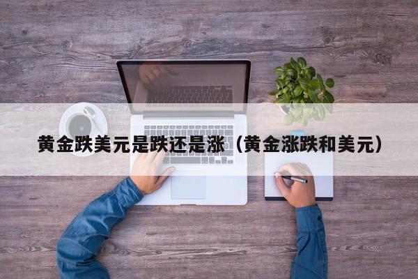 黄金跌美元是跌还是涨（黄金涨跌和美元）