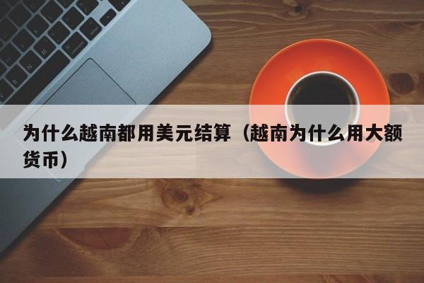 为什么越南都用美元结算（越南为什么用大额货币）