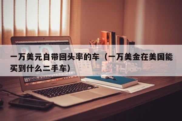 一万美元自带回头率的车（一万美金在美国能买到什么二手车）