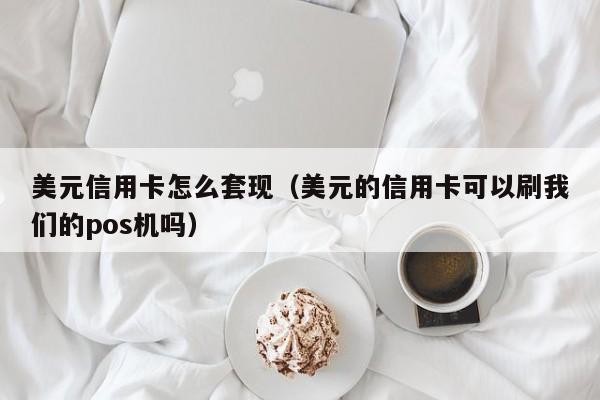 美元信用卡怎么套现（美元的信用卡可以刷我们的pos机吗）