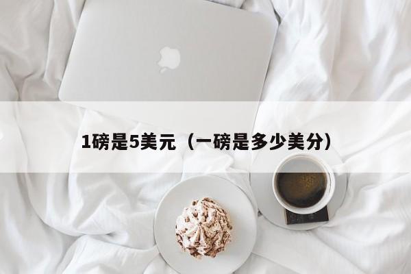 1磅是5美元（一磅是多少美分）